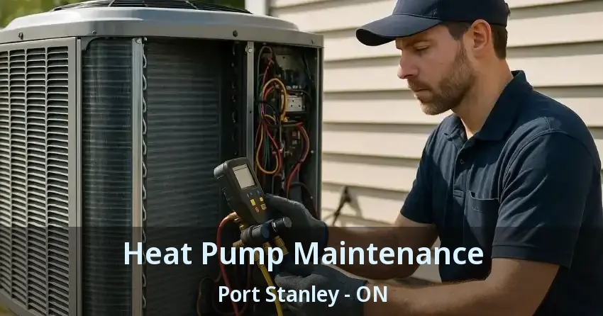 Heat Pump Maintenance Port Stanley - ON
