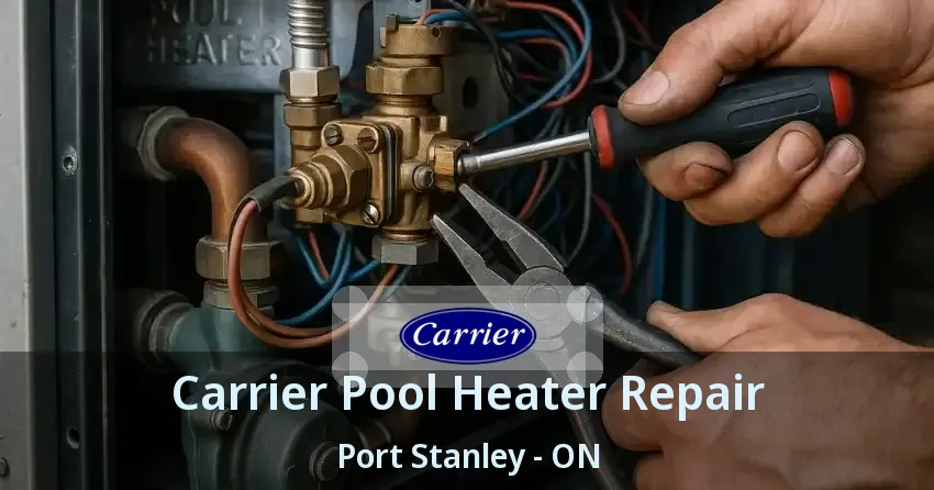 Carrier Pool Heater Repair Port Stanley - ON